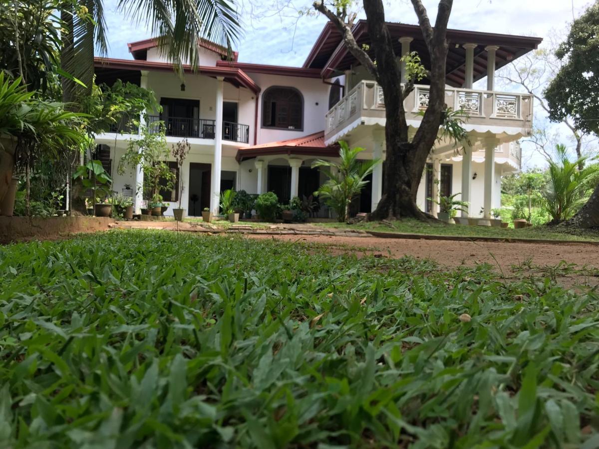 Green Edge Residences Дамбулла Экстерьер фото